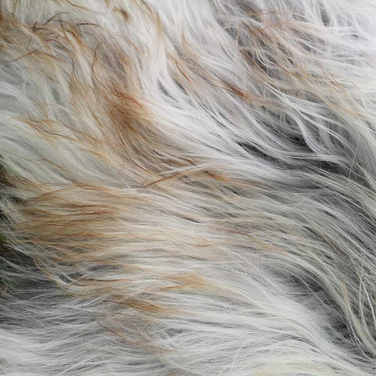 LAMMFELL Schnuckenfell Naturfarbe Langwolle Schwedisch ca. 120 cm - Weiß/Braun, Fell (60/120cm) - Provellus