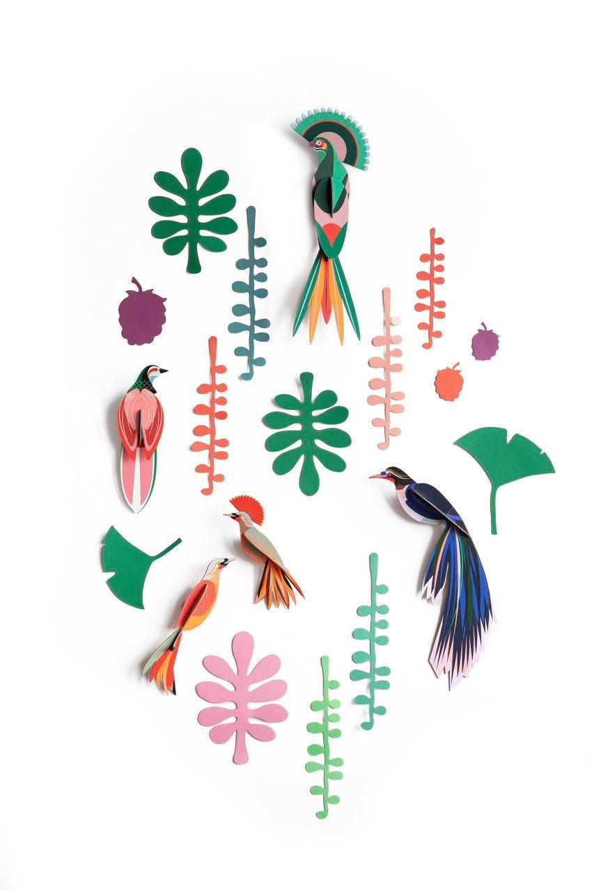 WANDDEKO Vogel-Set 20/5 cm - Grün, Wellpappe (20/5/36cm) - Studio Roof
