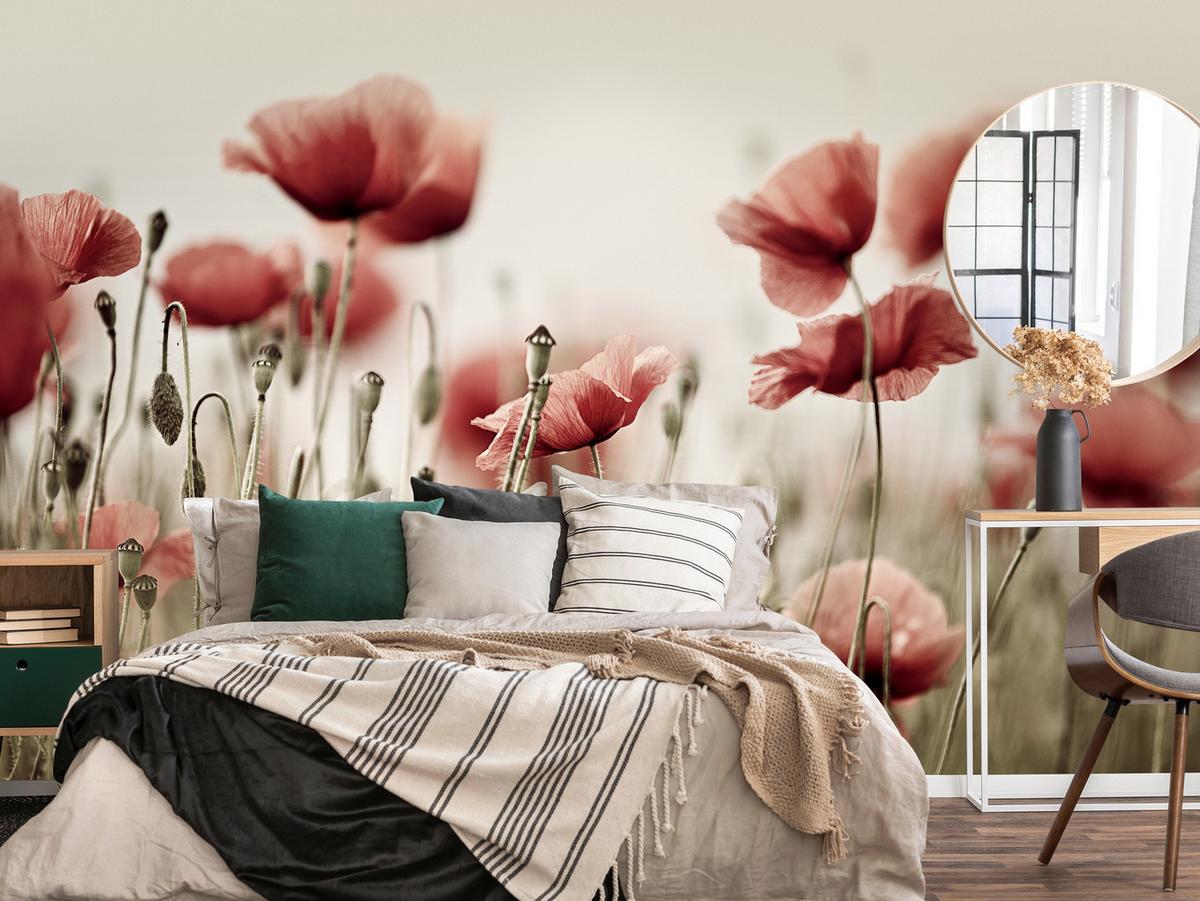 FOTOTAPETE für Wohnzimmer Zarte Mohn Blumen Wiese Rot 100x70 - Beige/Rot, Papier (100/70cm) - Muralo