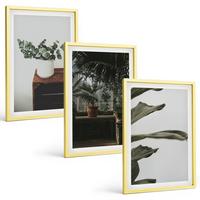 BILDER SET 3er Set - 40x60 cm Goldrahmen - Rustikale Topfpflanzen - Goldfarben, Kunststoff (40/60cm) - TULUP
