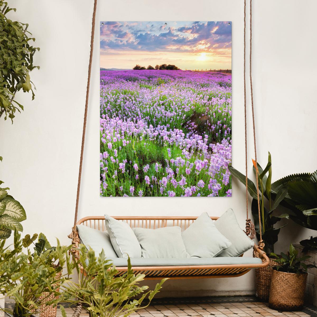 GARTENPOSTER Blumen - Lavendel - Lila - Himmel - Sonnenuntergang - Wiese - Natur Gartendekoration 120x160 cm - Flieder, Kunststoff (120/160/0.2cm) - OnlyWow