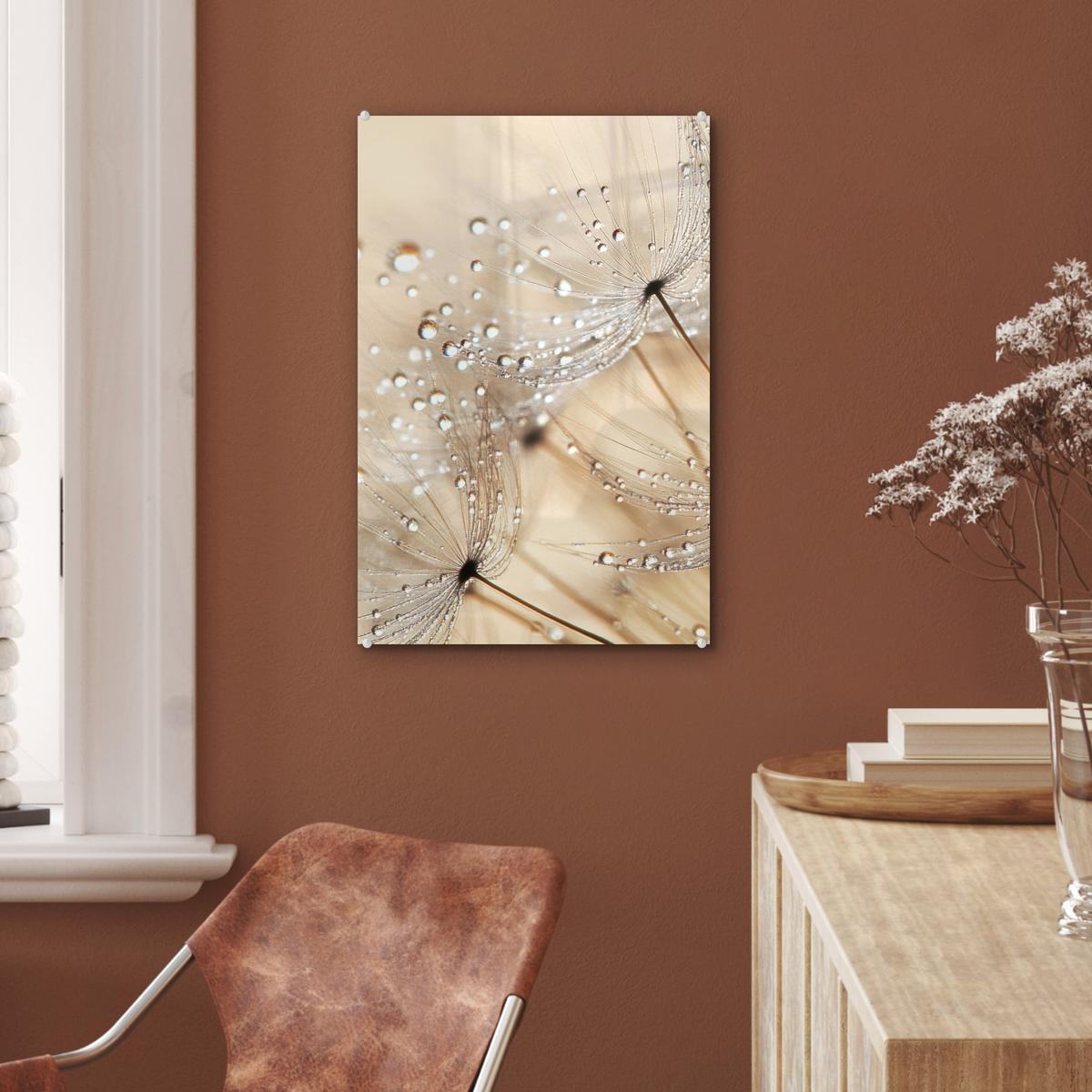 ACRYLGLASBILD Löwenzahn - Abstrakt - Natur - Beige Wanddeko Wohnzimmer 40x60 cm - Braun, Glas (40/60cm) - MuchoWow