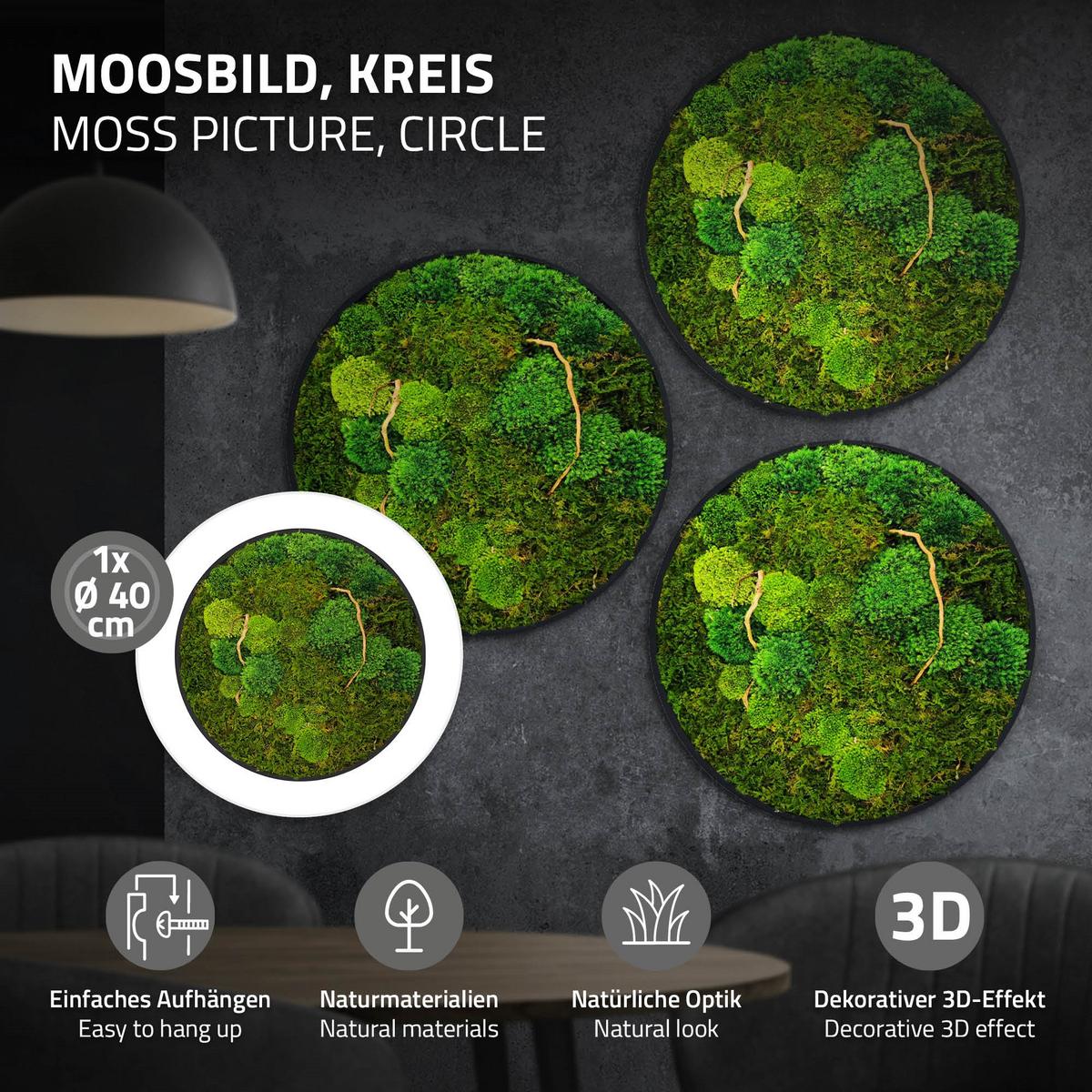MOOSBILD Rund Ø 40 cm Mooswand Indoor mit echtem Kugelmoos-Flachmoos-Mix und Ästen Holzrahmen Grün - Dunkelgrün, Naturmaterialien (40/40/3cm) - ECD-Germany
