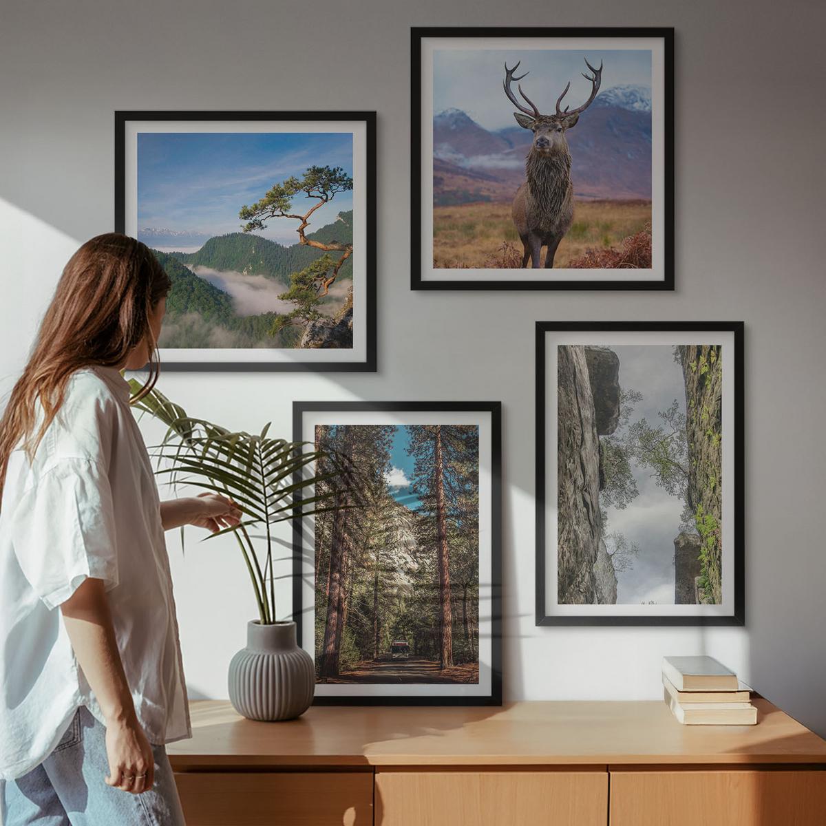 BILDER SET 4er Set - 50x50 cm & 40x60 cm Schwarzer Rahmen - Straße Wald Berge Hirsch Natur - Schwarz, Kunststoff (50/50cm) - TULUP