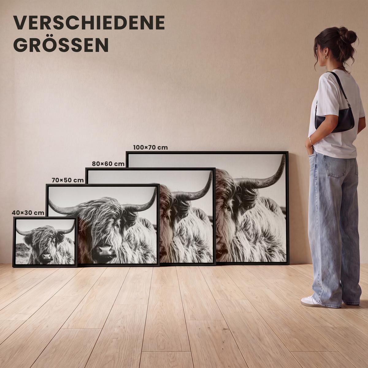 LEINWAND Bilder mit Rahmen - Kuh - Schottischer Hochländer - Schwarz - Weiß - Tier - Natur - Wildtiere - 80x60 - Schwarz, Textil (80/60cm) - MuchoWow