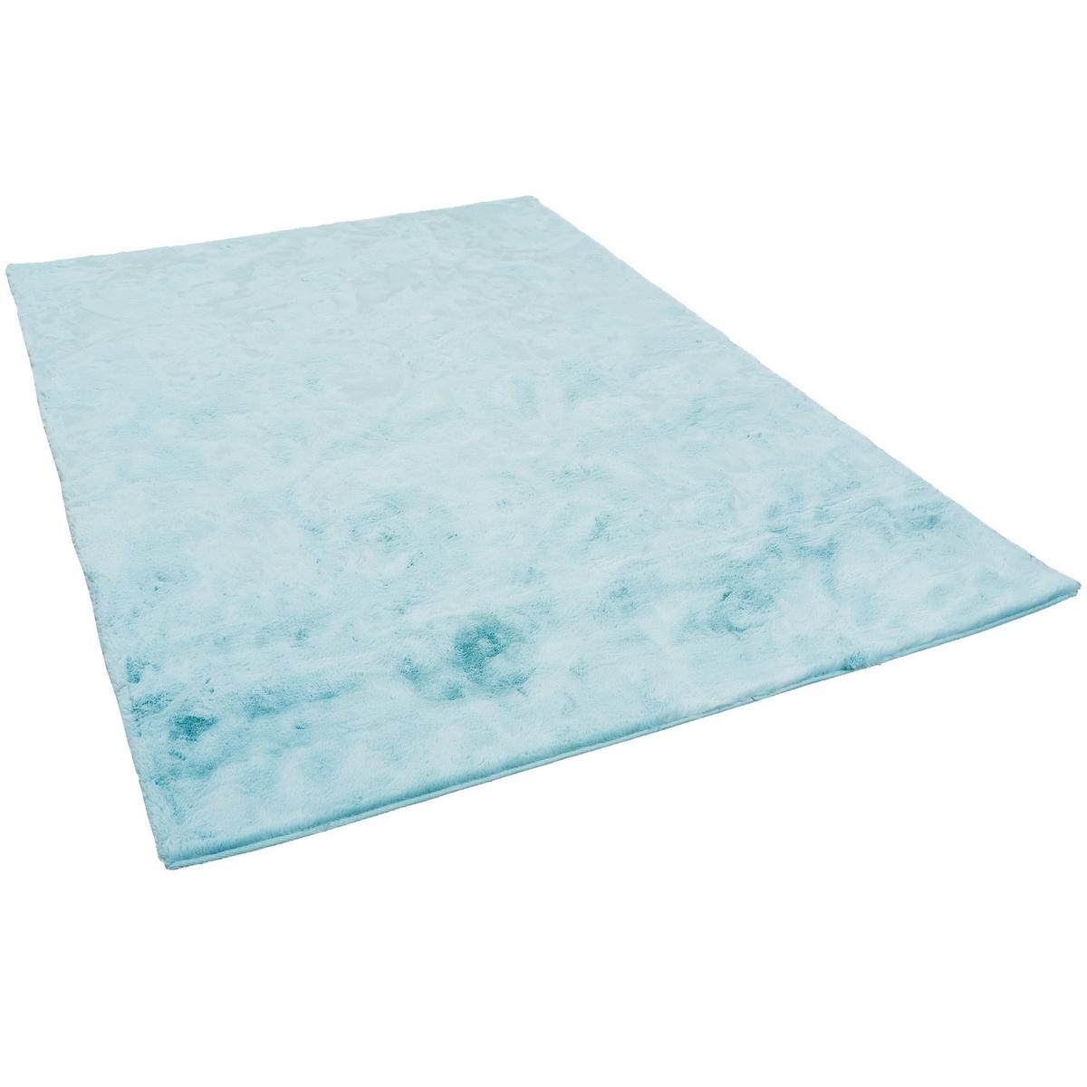 FELLTEPPICH LUXUS SUPER SOFT PLUSH - Türkis, Textil (60/90cm) - Pergamon