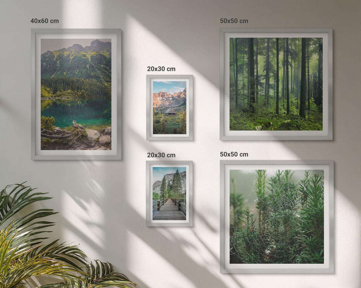 BILDER SET 5er Set - 50x50 cm & 20x30 cm & 40x60 cm Silberner Rahmen - Minimalistische Pflanzenzeichnungen - Silberfarben, Kunststoff (40/60cm) - TULUP