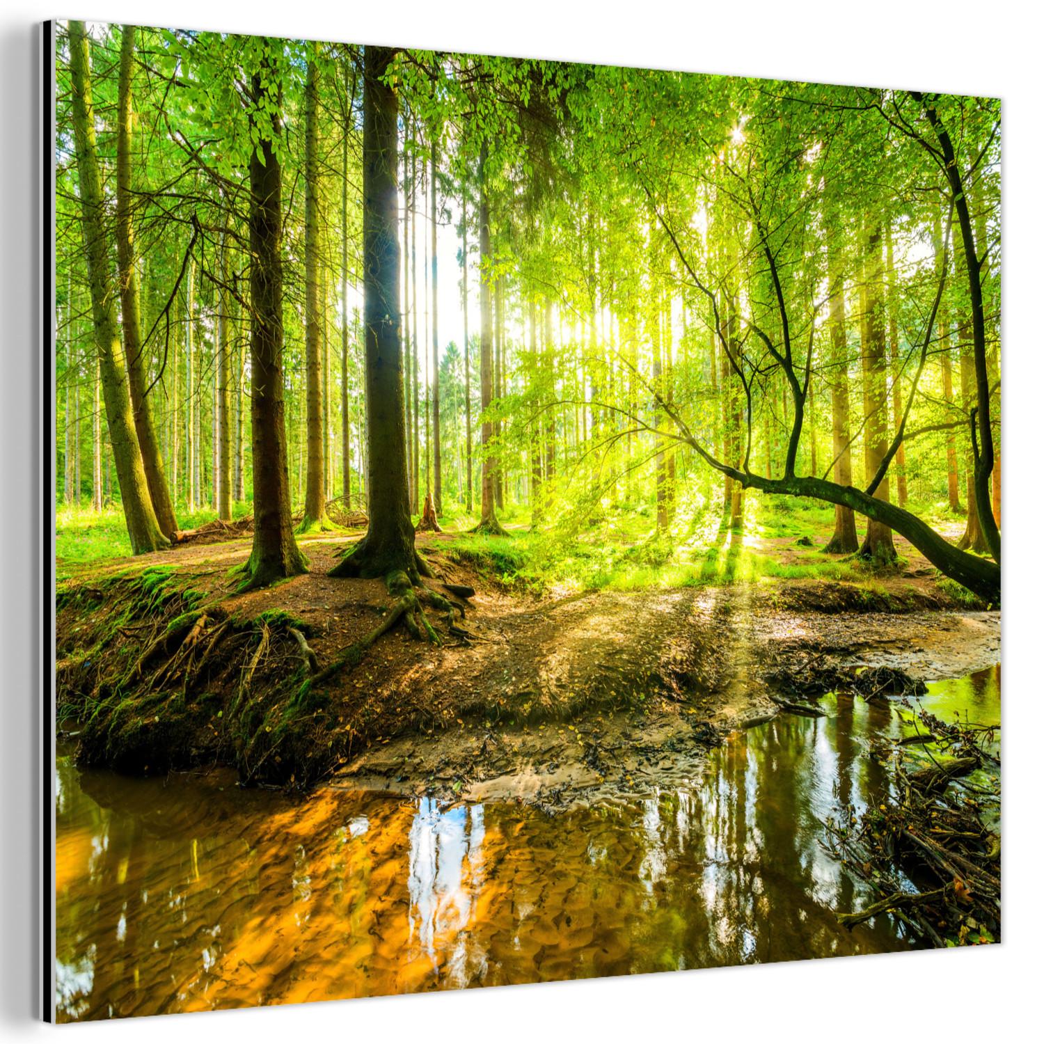 METALLBILD Wald - Landschaft - Wasser - Bäume - Sonne - Grün - Natur 80x60 cm - Grün, Metall (80/60cm) - MuchoWow