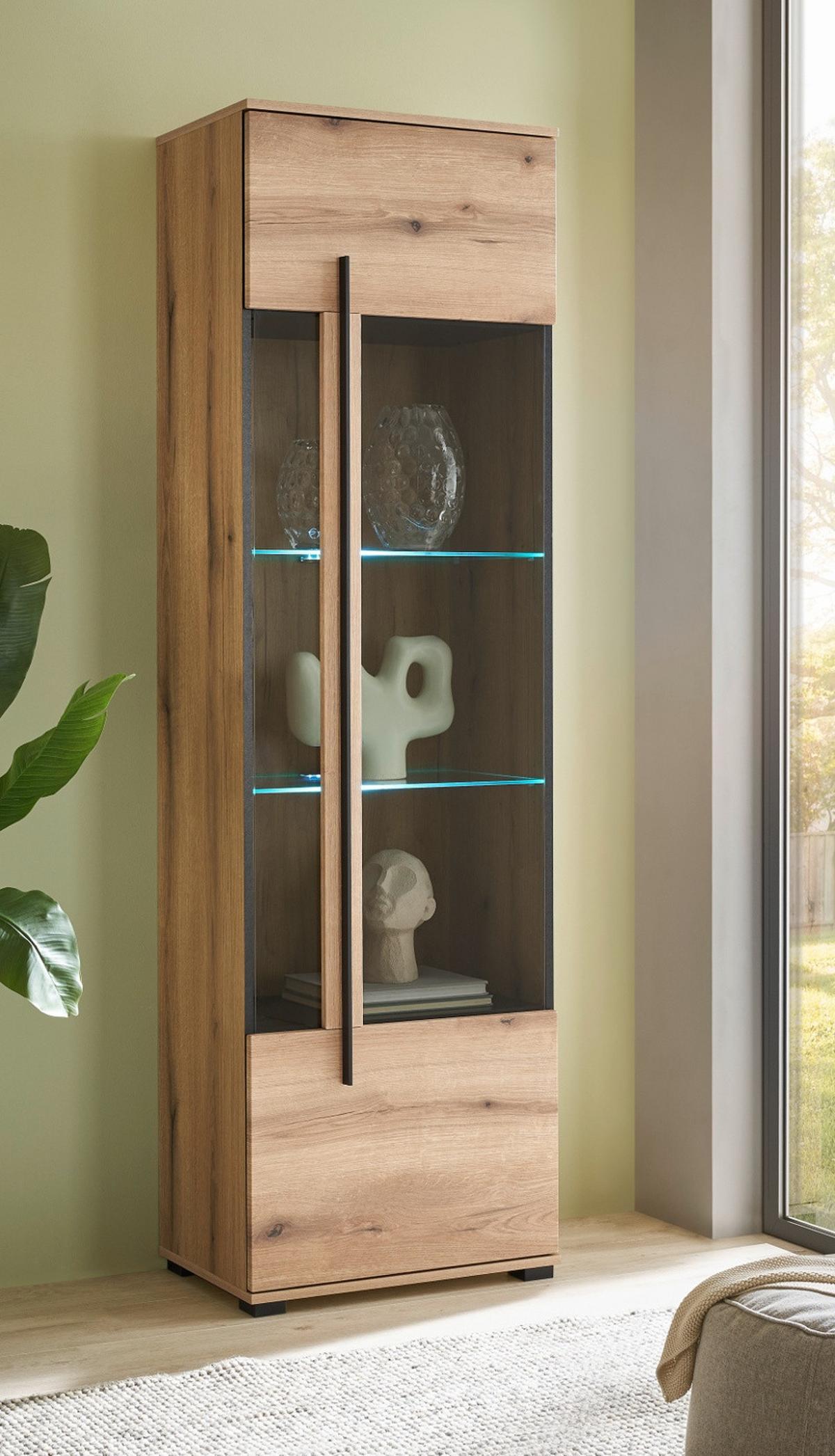 VITRINE Eiche Evoke, Vitrinenschrank 60 x 200 cm, Glas grau - Eichefarben/Schwarz, Glas/Holzwerkstoff (60/200/37cm) - Furn.Design