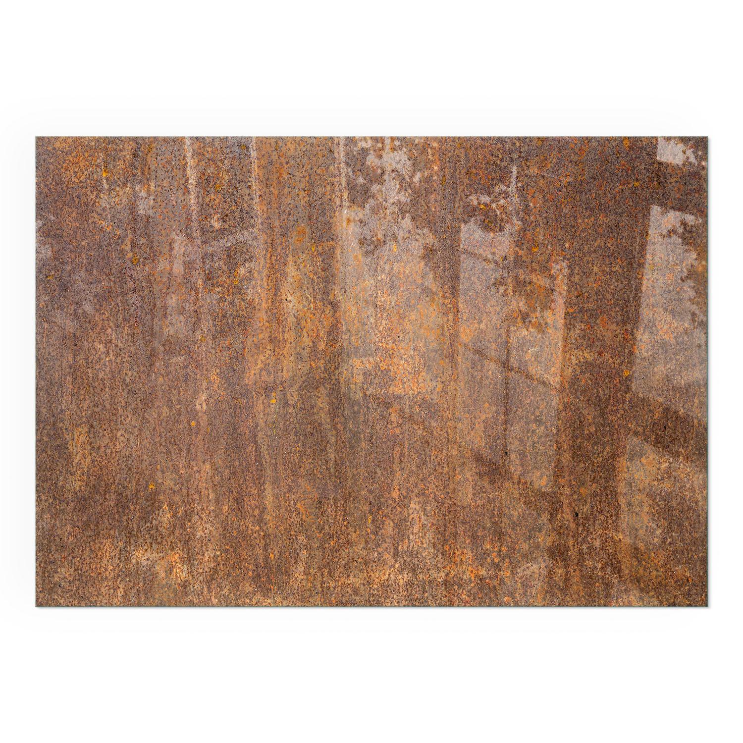 GLASPLATTE für Kamin 100x70 cm - Braun, Glas (100/70/0.4cm) - TULUP