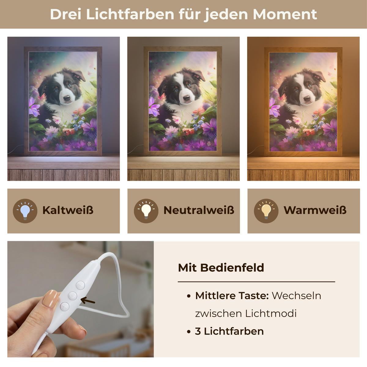 NACHTTISCHLAMPE Welpe - Sonne - Blumen - Natur - Border Collie - Hund 20x30 cm - Violett, Holzwerkstoff (8/20/30cm) - OnlyWow