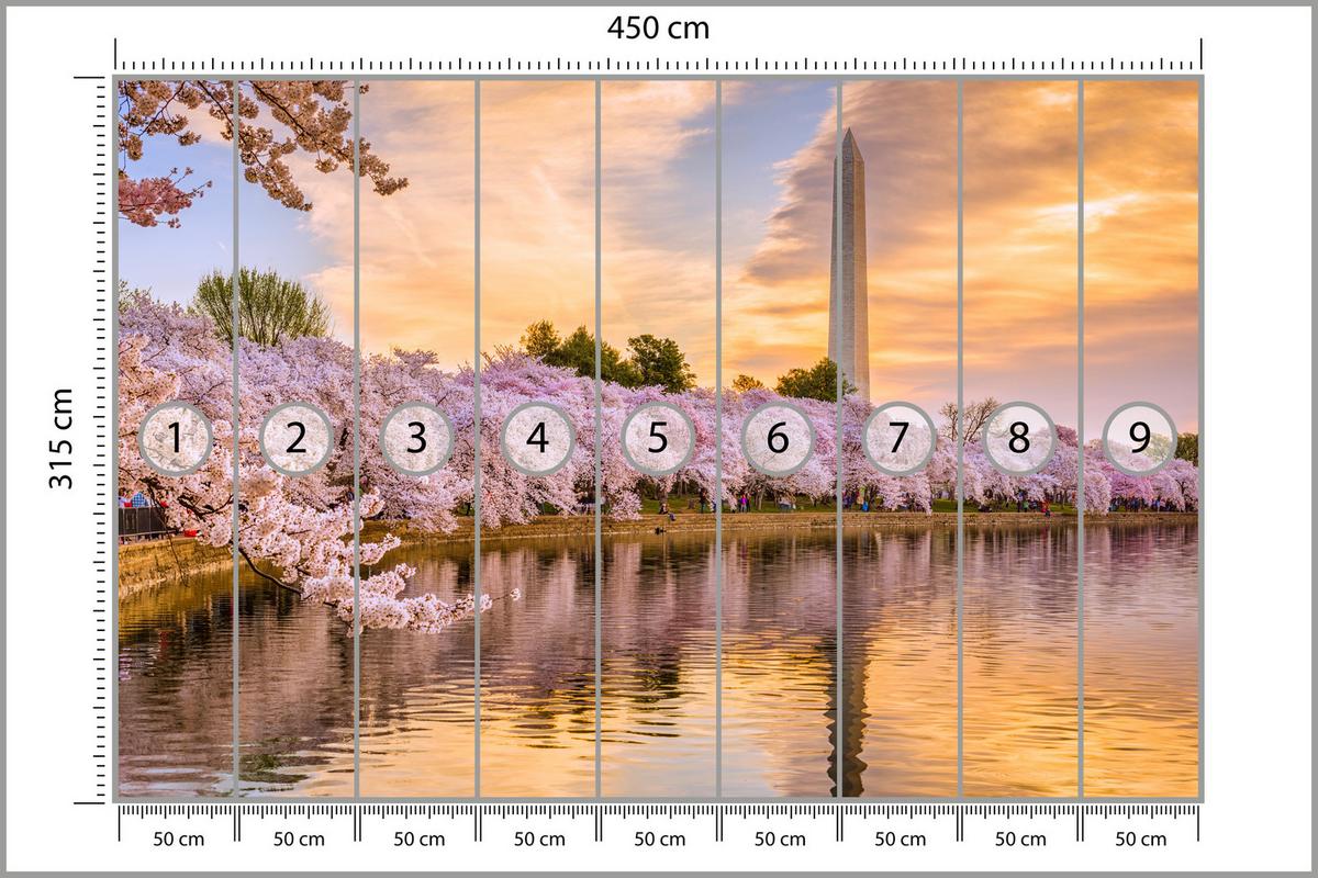 FOTOTAPETE Blühende Kirschbäume Fluss Natur Frühling Sonnenuntergang 450x315 - Blau/Gelb, Papier (450/315cm) - Muralo