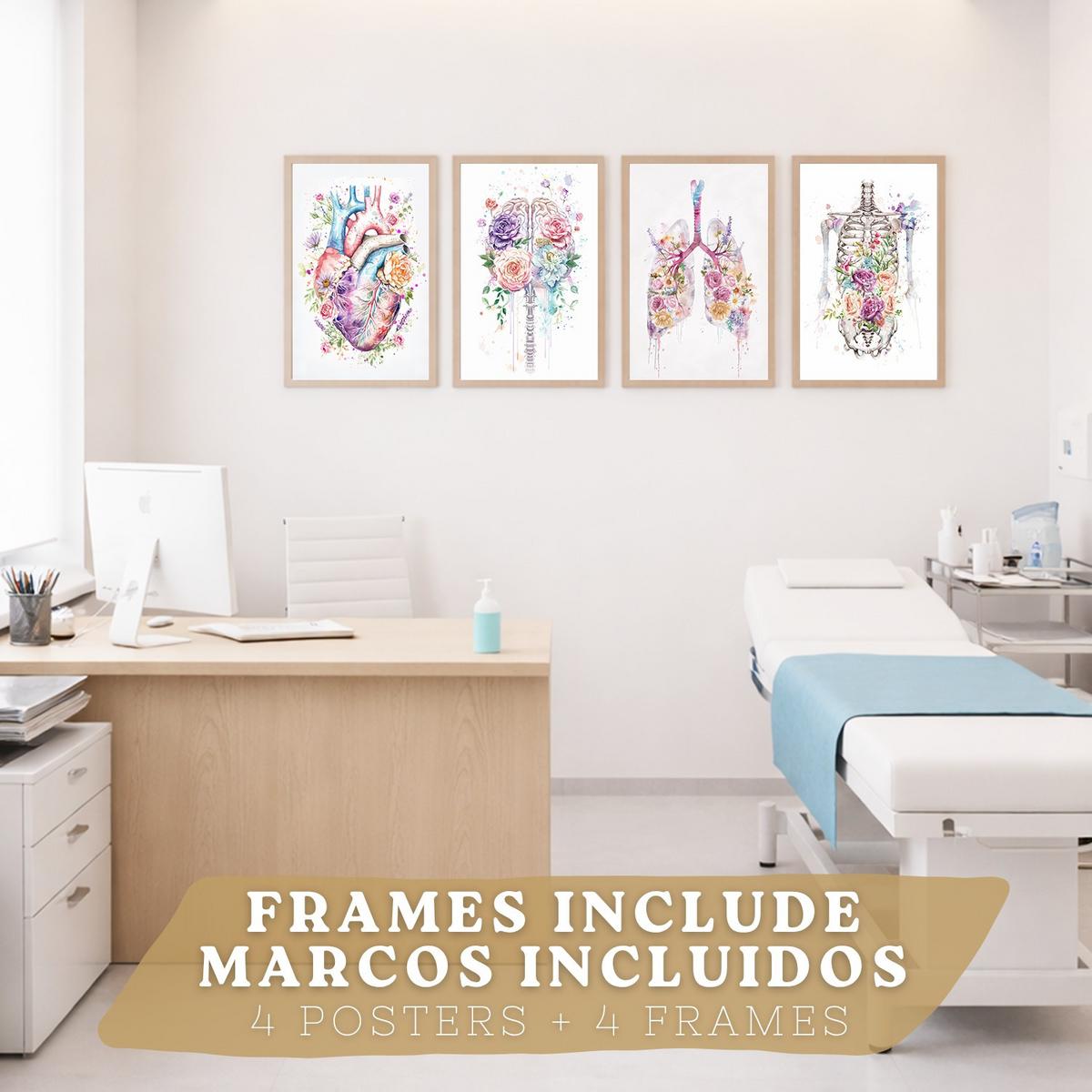 POSTER Set aus 4 Anatomie Mensch Drucke und mit Herz Gehirn Lungen Luftröhre Bronchien Wirbelsäule Florales Aquarell Design Leichter Holzrahmen A3 - Beige, Papier (29.7/42/3cm) - Nacnic
