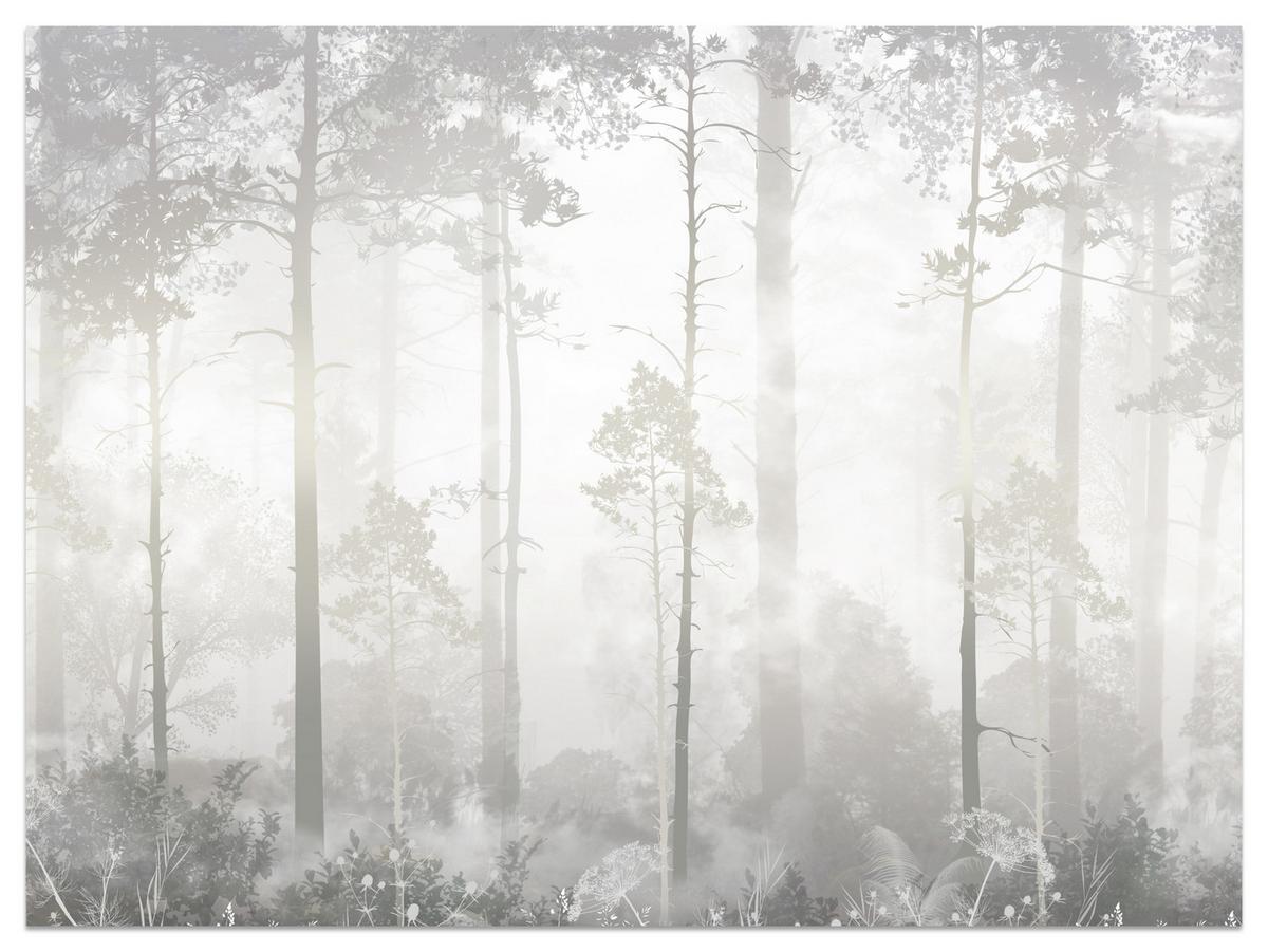 FOTOTAPETE für Schlafzimmer Nebliger Wald Bäume Sträucher Mystik 200x140 - Beige/Weiß, Papier (200/140cm) - Muralo
