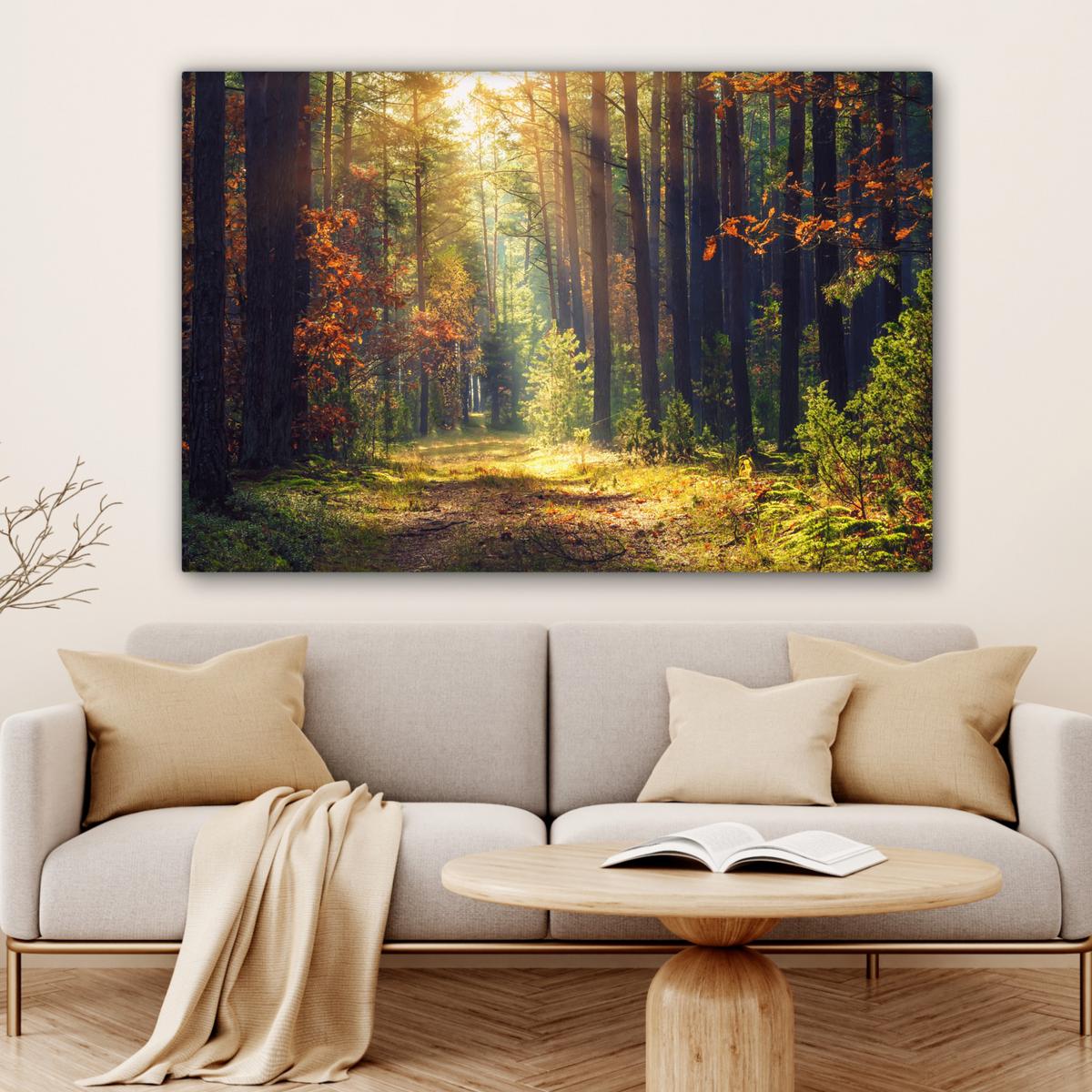 LEINWANDBILD Wald - Herbst - Bäume Groß 140x90 cm - Dunkelgrün, Textil (140/90cm) - MuchoWow