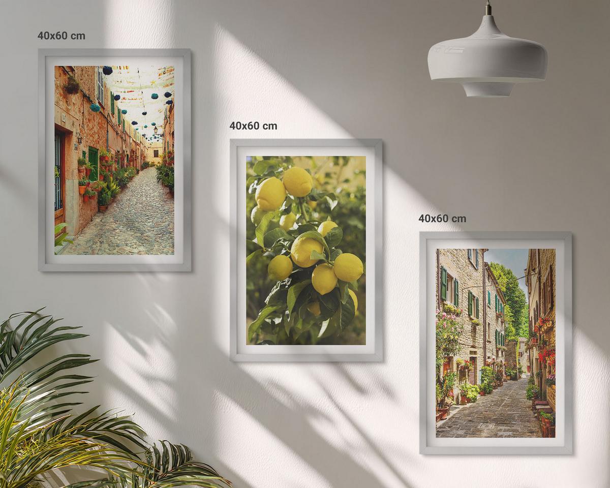 BILDER SET 3er Set - 40x60 cm Silberner Rahmen - Straßen mit Zitronenblüten im Hintergrund - Silberfarben, Kunststoff (40/60cm) - TULUP