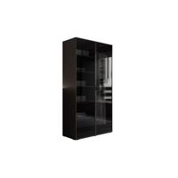 KLEIDERSCHRANK SANDBOX MODERN 100 101/49/200 cm Schwarzgraphit / schwarzes Glas mit LED ohne Zusatzböden - Schwarz, Holzwerkstoff/Kunststoff (101/200/49cm) - Lookway