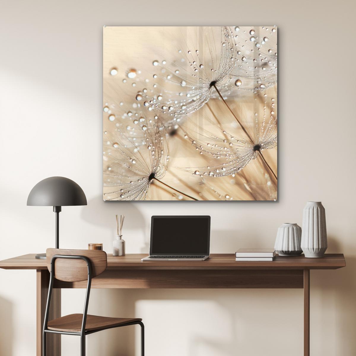 ACRYLGLASBILD Löwenzahn - Abstrakt - Natur - Beige 90x90 cm - Braun, Glas (90/90cm) - MuchoWow