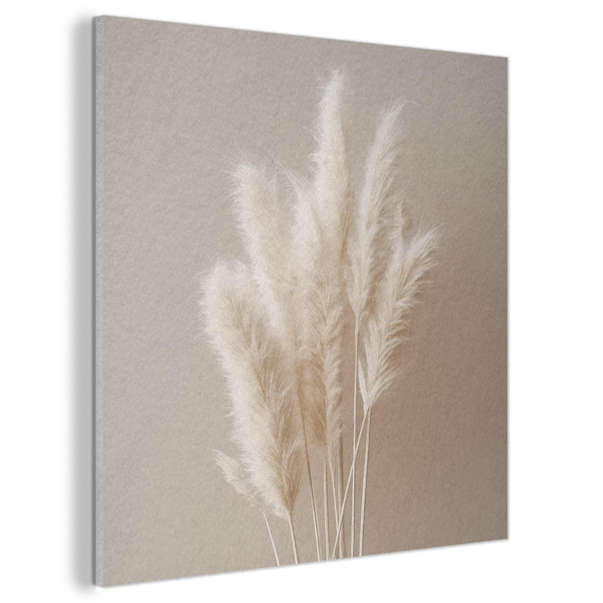 AKUSTIKBILD Pampasgras - Federn - Pastell - Weiß Akustikpaneele 80x80 cm - Naturfarben, Kunststoff (80/80/0.9cm) - MuchoWow