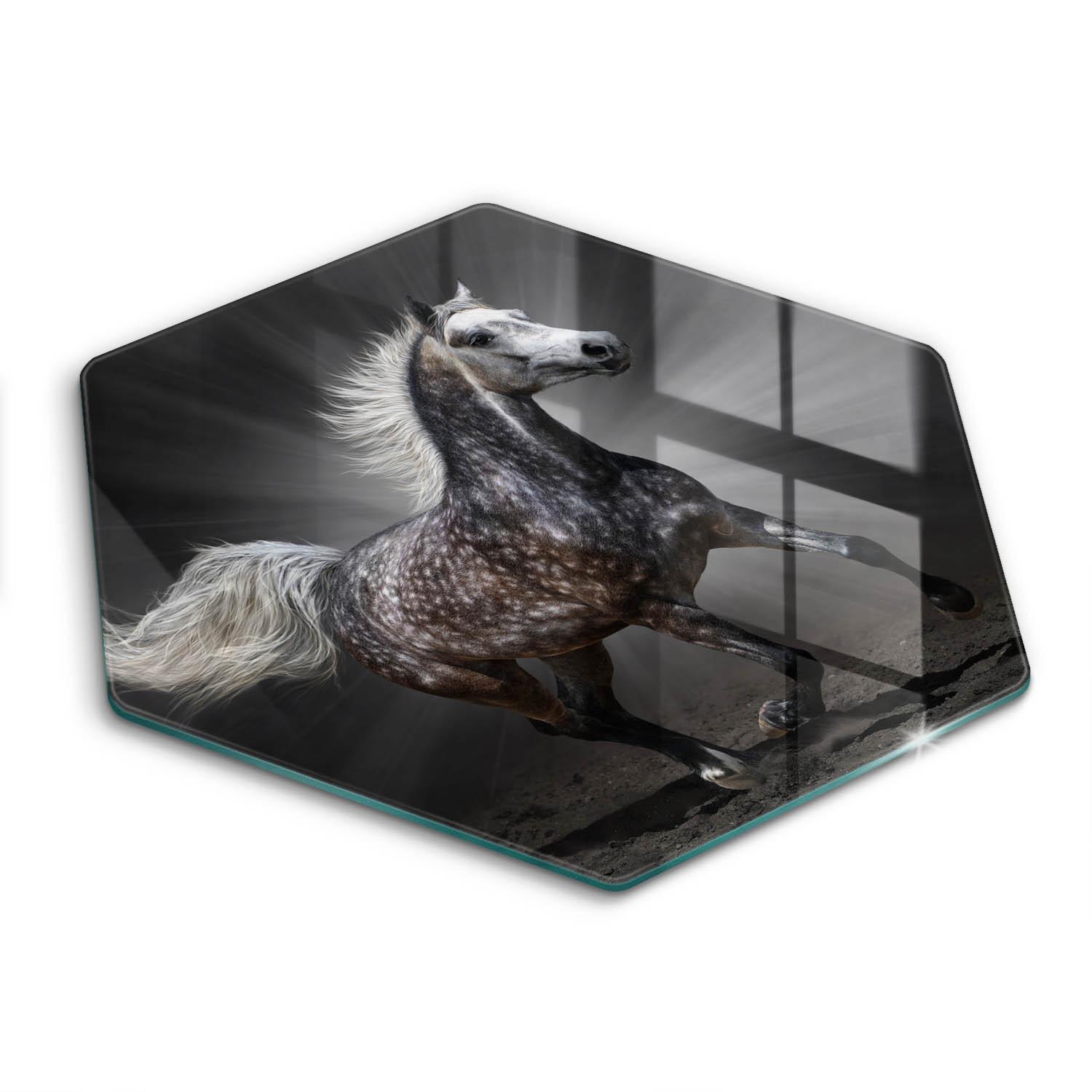 GLASPLATTE 40 cm Pferd im Galopp - Dunkelgrau, Glas (40/40cm) - Wallfluent