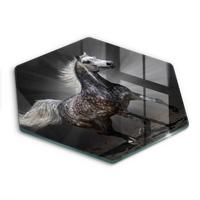 GLASPLATTE 40 cm Pferd im Galopp - Dunkelgrau, Glas (40/40cm) - Wallfluent