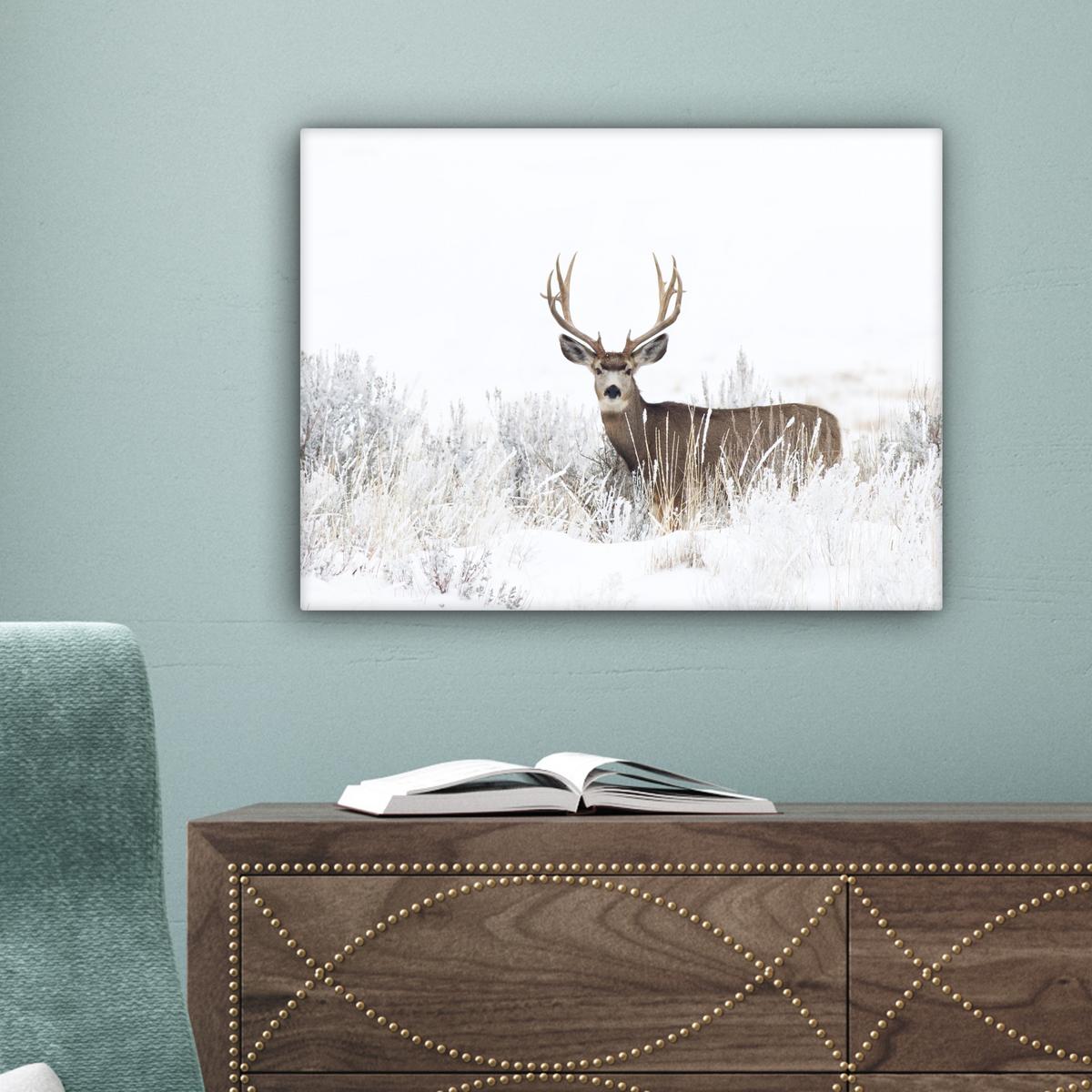 LEINWANDBILD Hirsche - Winter - Schnee - Tiere - Jahreszeiten - Weiß Wandbild 40x30 cm - Hellbraun, Textil (40/30cm) - MuchoWow