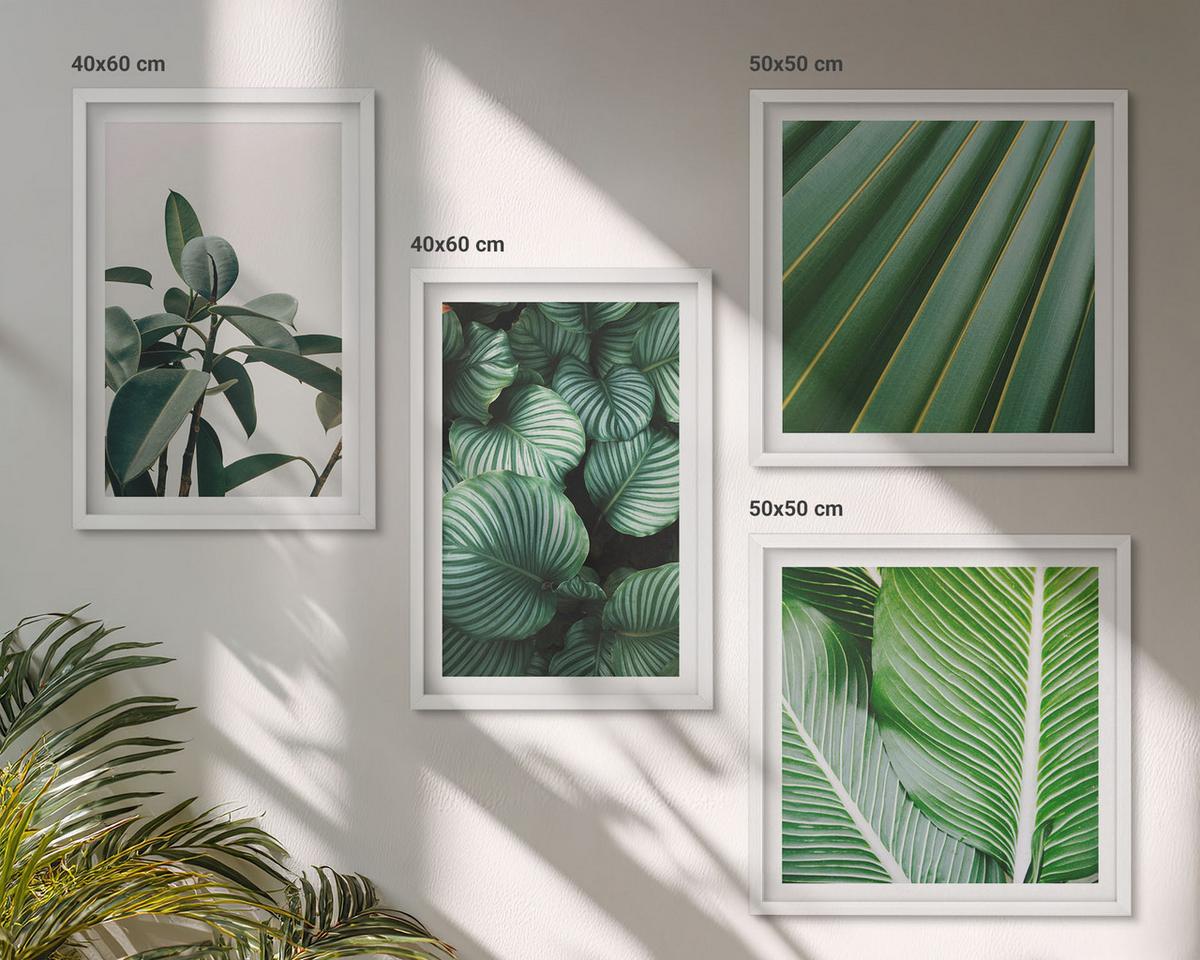 BILDER SET 4er Set - 50x50 cm & 40x60 cm Weißer Rahmen - Tropische Blätter in Grün - Weiß, Kunststoff (50/50cm) - TULUP