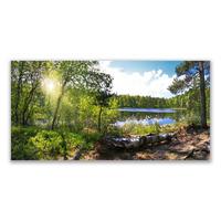 LEINWANDBILD 120x60 cm See im Wald - Hellblau/Grau, Textil (120/4cm) - TULUP