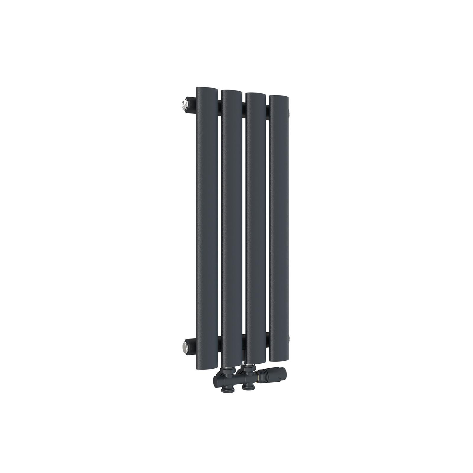 HEIZKÖRPER Doppelrohr vertikal montierbar Anthrazit 24/60/5,8 cm - Anthrazit, Metall (24/60/5.8cm) - EMKE