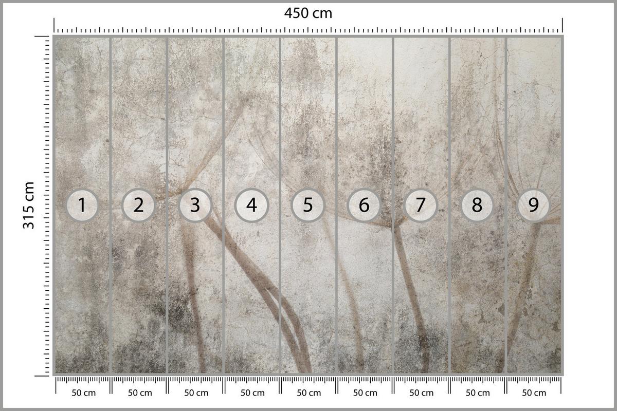 FOTOTAPETE für Wohnzimmer Zarter Skizze Löwenzahn Grauer Beton Minimalistisch 450x315 - Beige/Braun, Papier (450/315cm) - Muralo