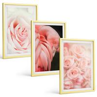 BILDER SET 3er Set - 40x60 cm Goldrahmen - Zartrosa Flamingos - Goldfarben, Kunststoff (40/60cm) - TULUP