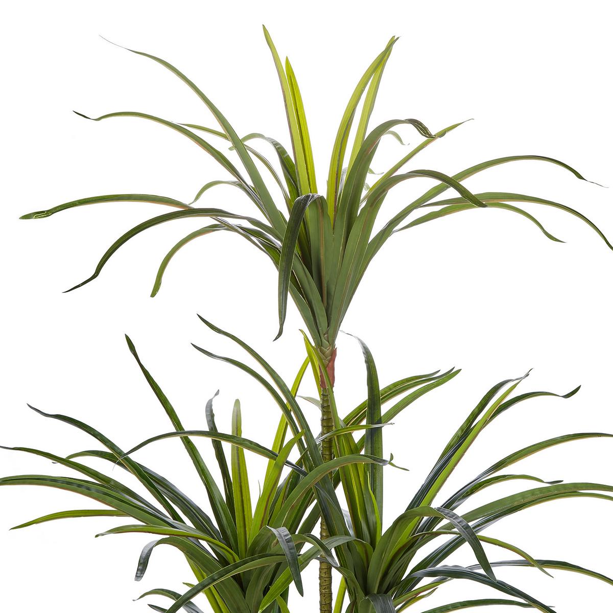 KUNSTPFLANZE im Blumentopf 147 cm Grün/Schwarz Dracaena Anita - Schwarz/Grün, Kunststoff (147cm) - Beliani