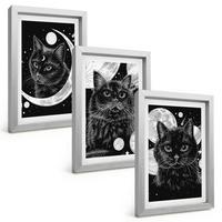 BILDER SET 3er Set - 20x30 cm Silberner Rahmen - Schwarze Katzen, Mond, Weltraum - Silberfarben, Kunststoff (20/30cm) - TULUP