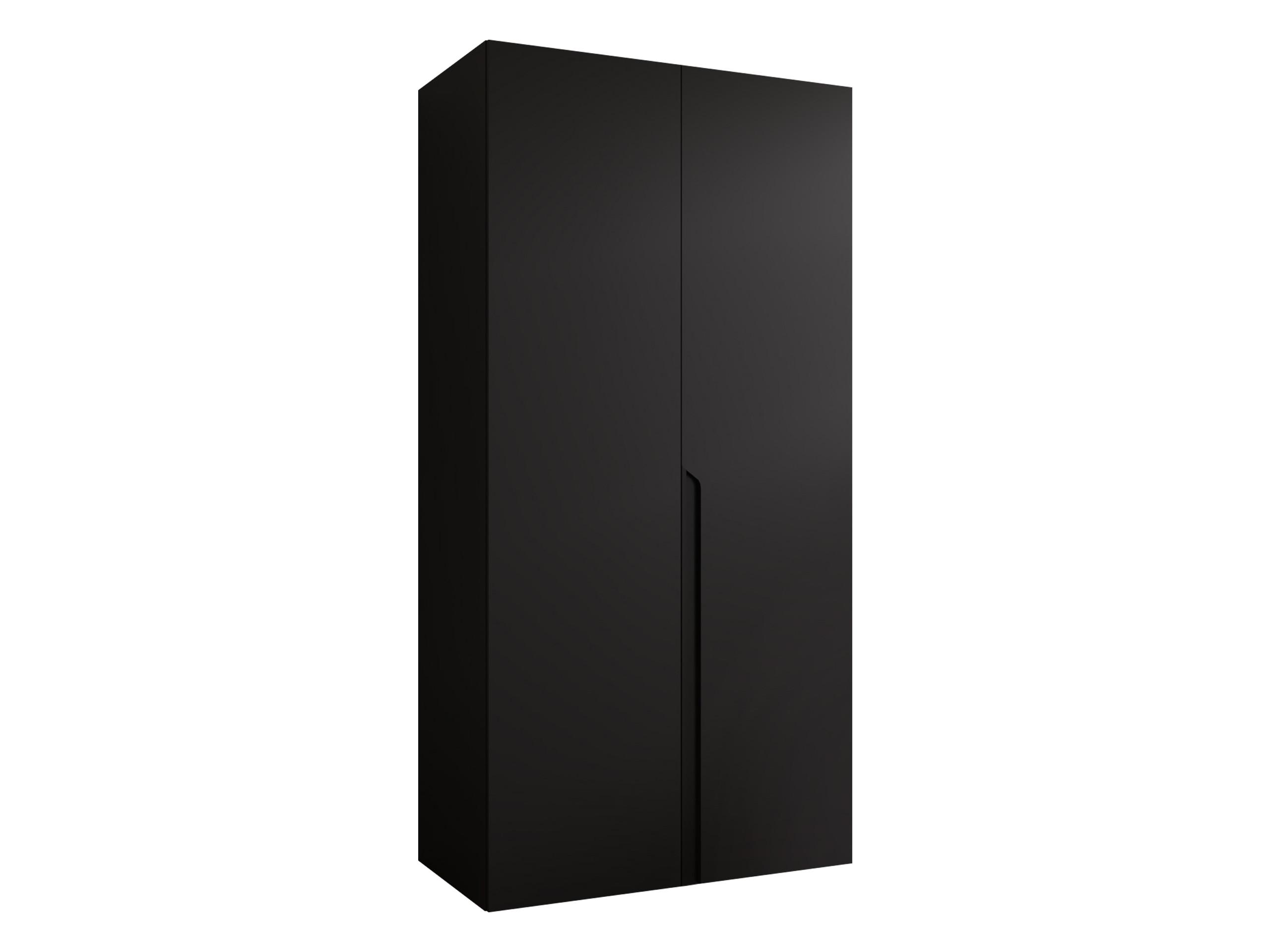 DREHTÜRENSCHRANK Mila I 100 - Schwarz, Holzwerkstoff/Kunststoff (100/202/52cm) - MIRJAN24