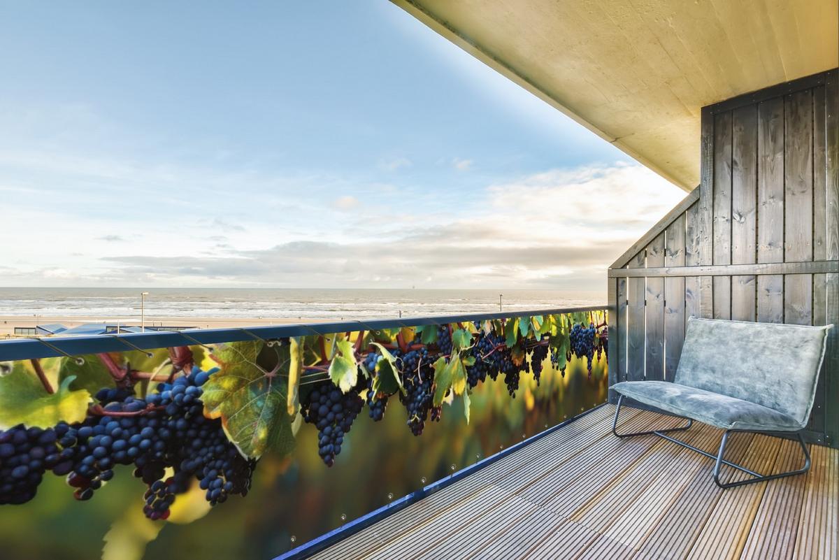 BALKON-SICHTSCHUTZ Trauben - Wein - Natur - Grün Groß 500x95 cm - Weinrot, Kunststoff (500/95cm) - MuchoWow