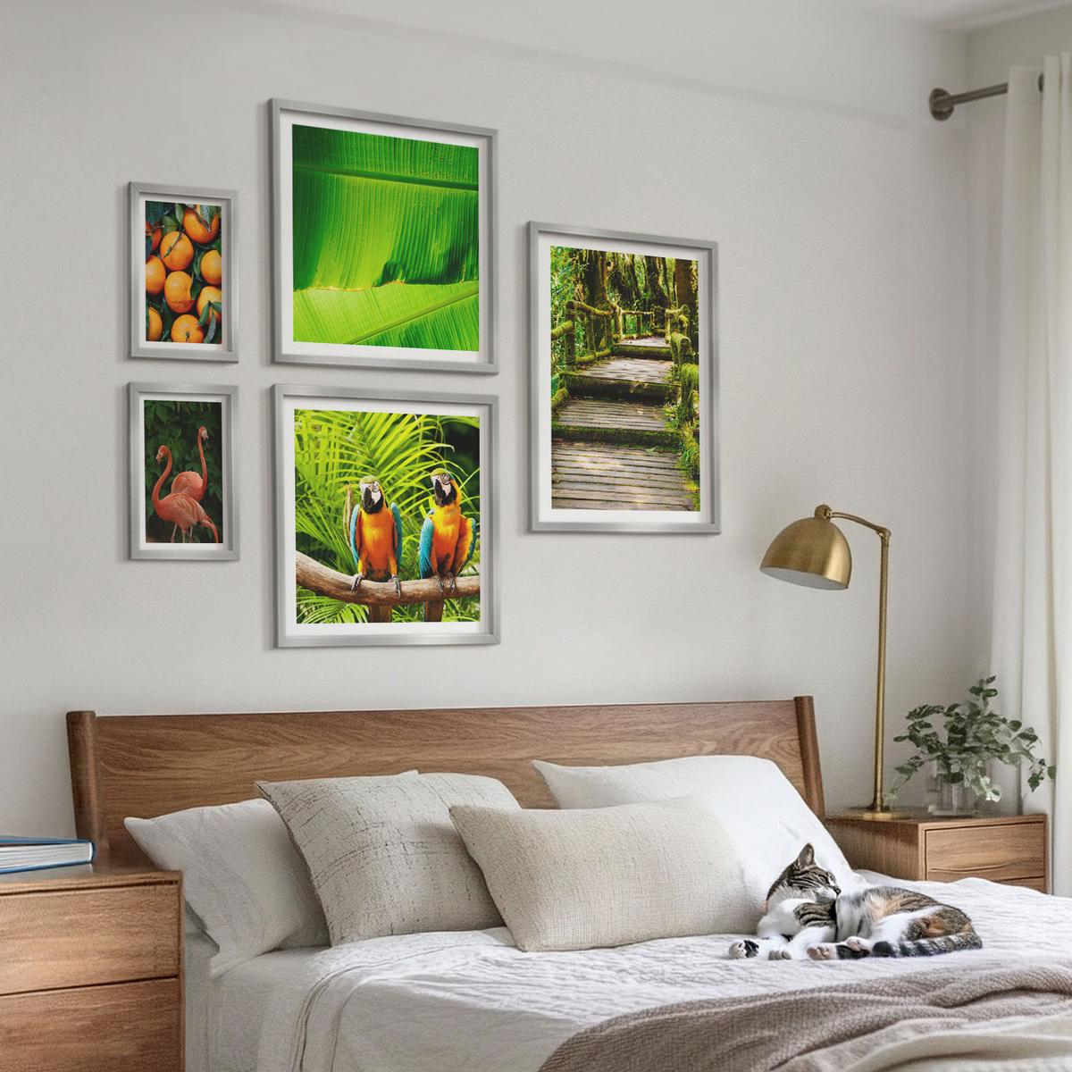 BILDER SET 5er Set - 50x50 cm & 20x30 cm & 40x60 cm Silberner Rahmen - Fruchtige Akzente der Tropen - Silberfarben, Kunststoff (40/60cm) - TULUP