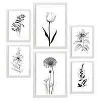 POSTER Set Mit 6 Kleine Blumen Natur Und Botanikdrucke Mit Blumenmotiven In Klassischem Schwarz Und Weiß Innenarchitektur A3 & A4 Weißer Rahmen - Weiß, Papier (29/3cm) - Nacnic