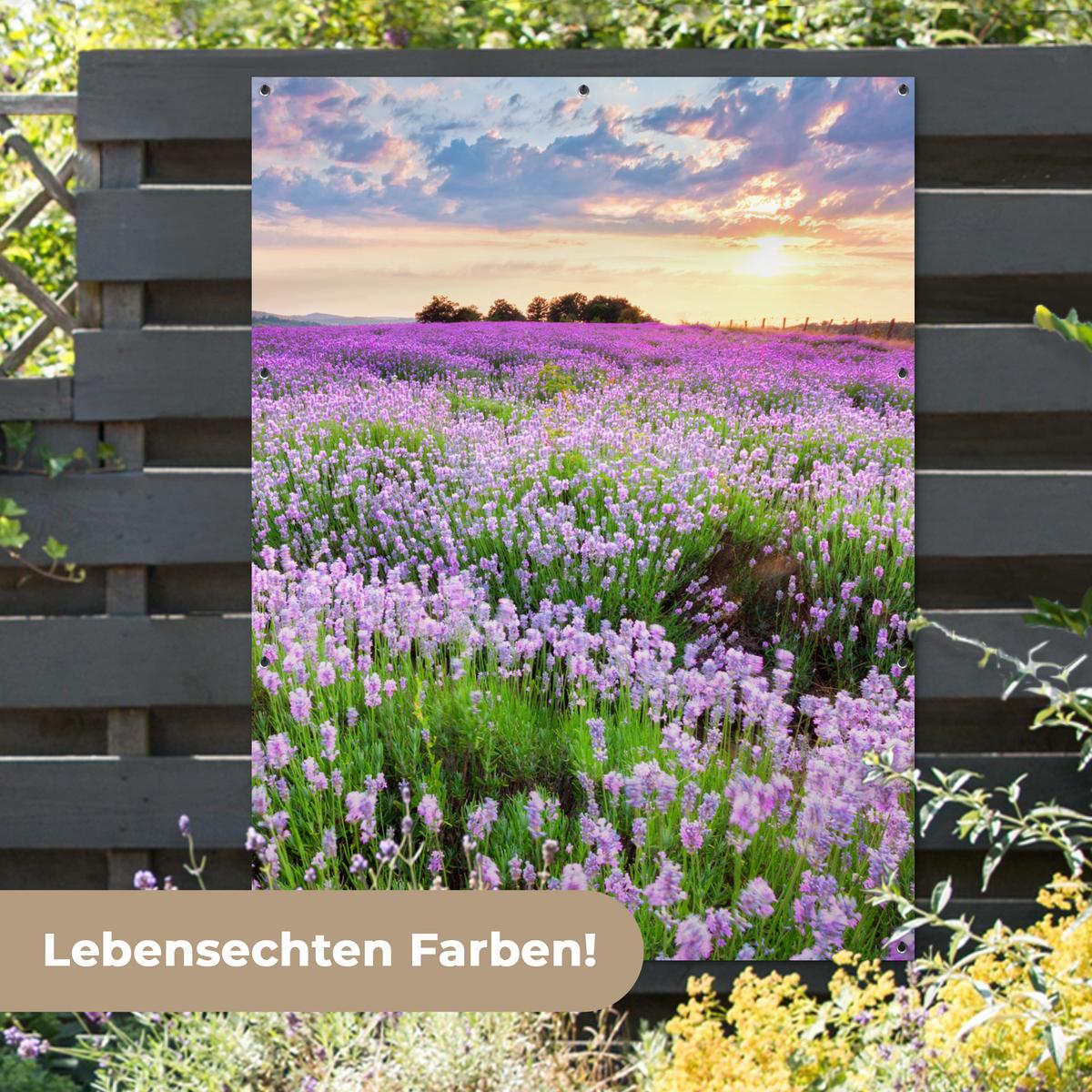 GARTENPOSTER Blumen - Lavendel - Lila - Himmel - Sonnenuntergang - Wiese - Natur Gartendekoration 120x160 cm - Flieder, Kunststoff (120/160/0.2cm) - OnlyWow