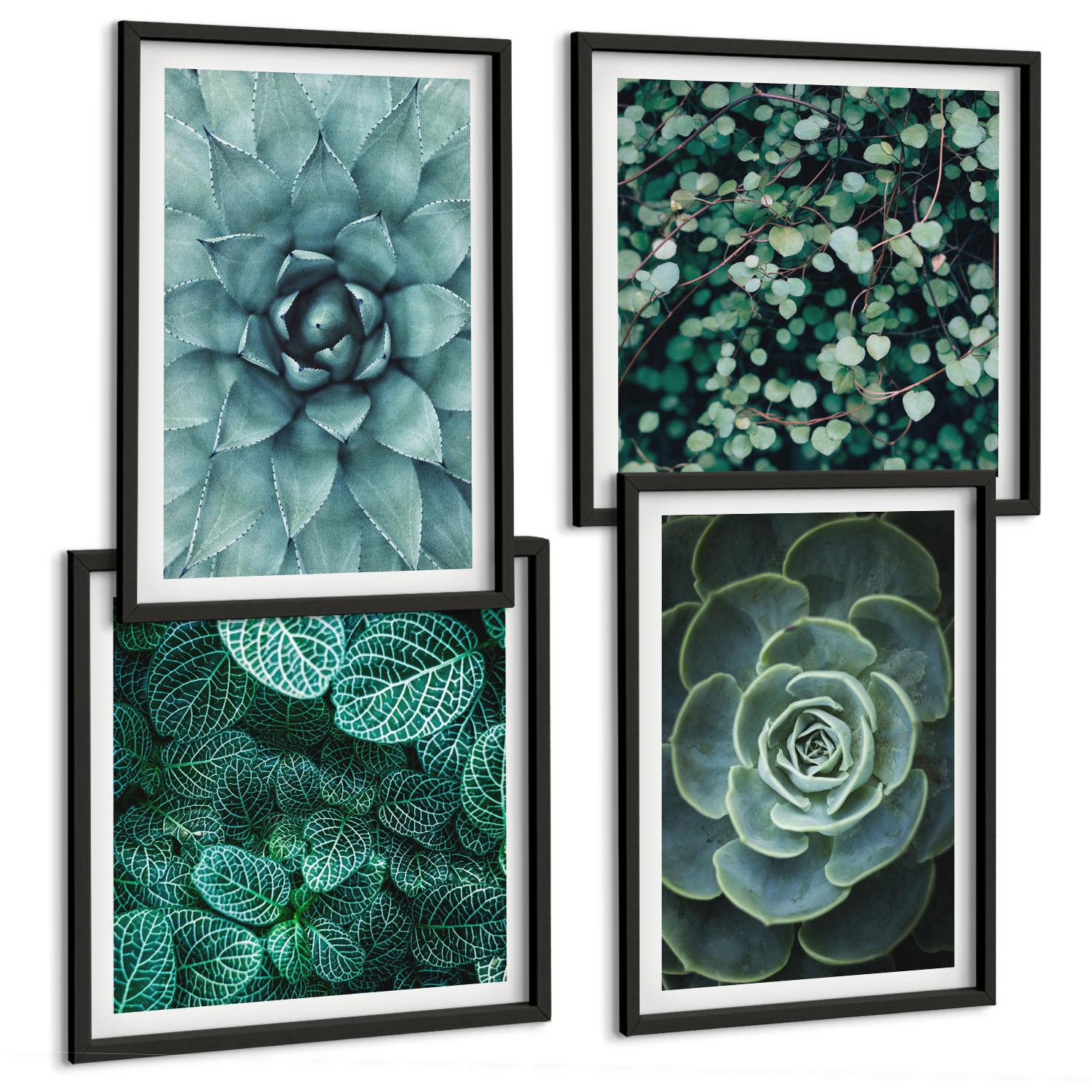 BILDER SET 4er Set - 50x50 cm & 40x60 cm Schwarzer Rahmen - Sukkulenten in Grün und Türkis - Schwarz, Kunststoff (50/50cm) - TULUP