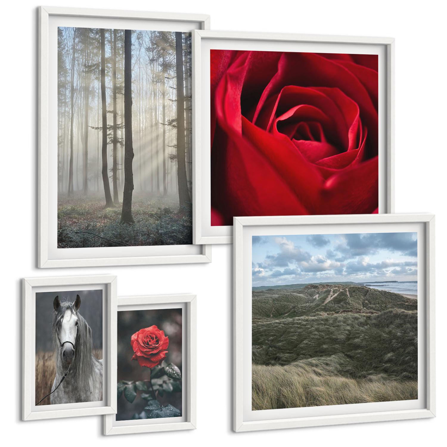 BILDER SET 5er Set - 50x50 cm & 20x30 cm & 40x60 cm Weißer Rahmen - Rote Rosen auf pferdegrauem Hintergrund - Weiß, Kunststoff (40/60cm) - TULUP