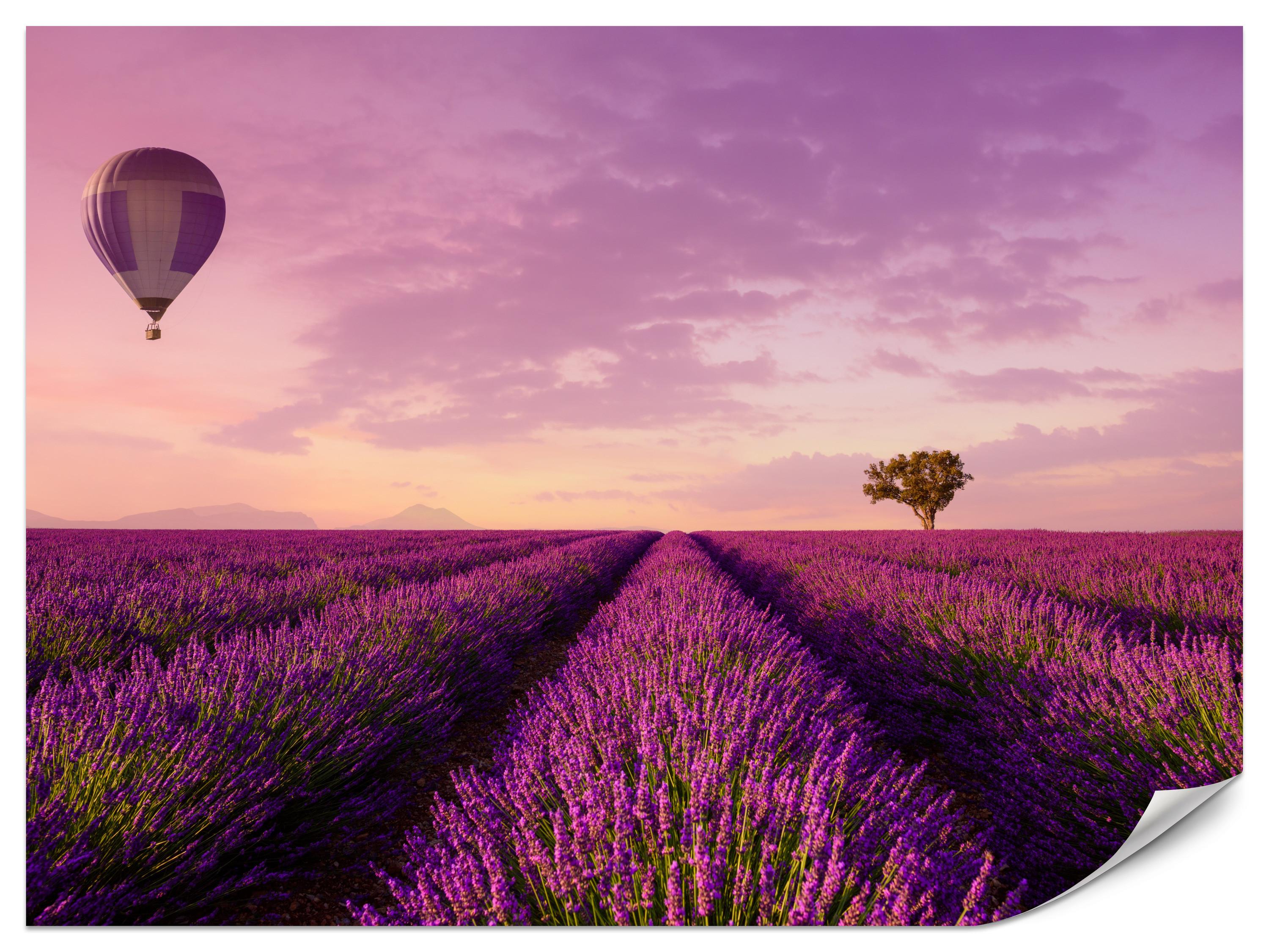 FOTOTAPETE für Wohnzimmer Lavendelfeld Heißluftballon Provence 400x280 - Violett/Lila, Papier (400/280cm) - Muralo