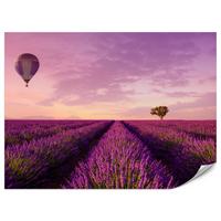 FOTOTAPETE für Wohnzimmer Lavendelfeld Heißluftballon Provence 400x280 - Violett/Lila, Papier (400/280cm) - Muralo