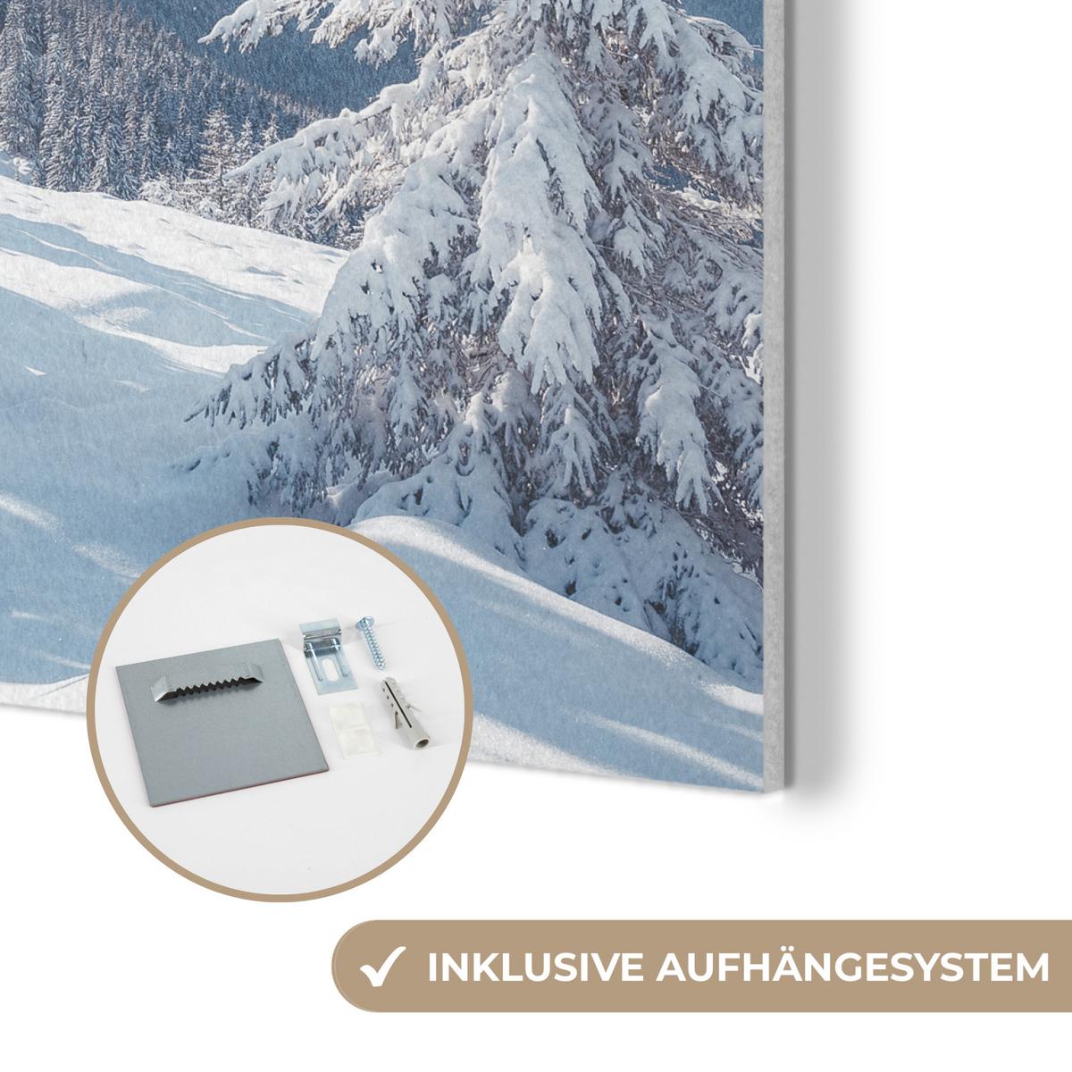 AKUSTIKBILD Winterlandschaft - Natur - Berge - Bäume - Schnee Wandbilder 60x60 cm - Hellblau, Kunststoff (60/60/0.9cm) - MuchoWow