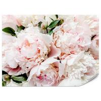 FOTOTAPETE für Schlafzimmer Rosa Zarte Pfingstrosen Natur 100x70 - Rosa/Weiß, Papier (100/70cm) - Muralo