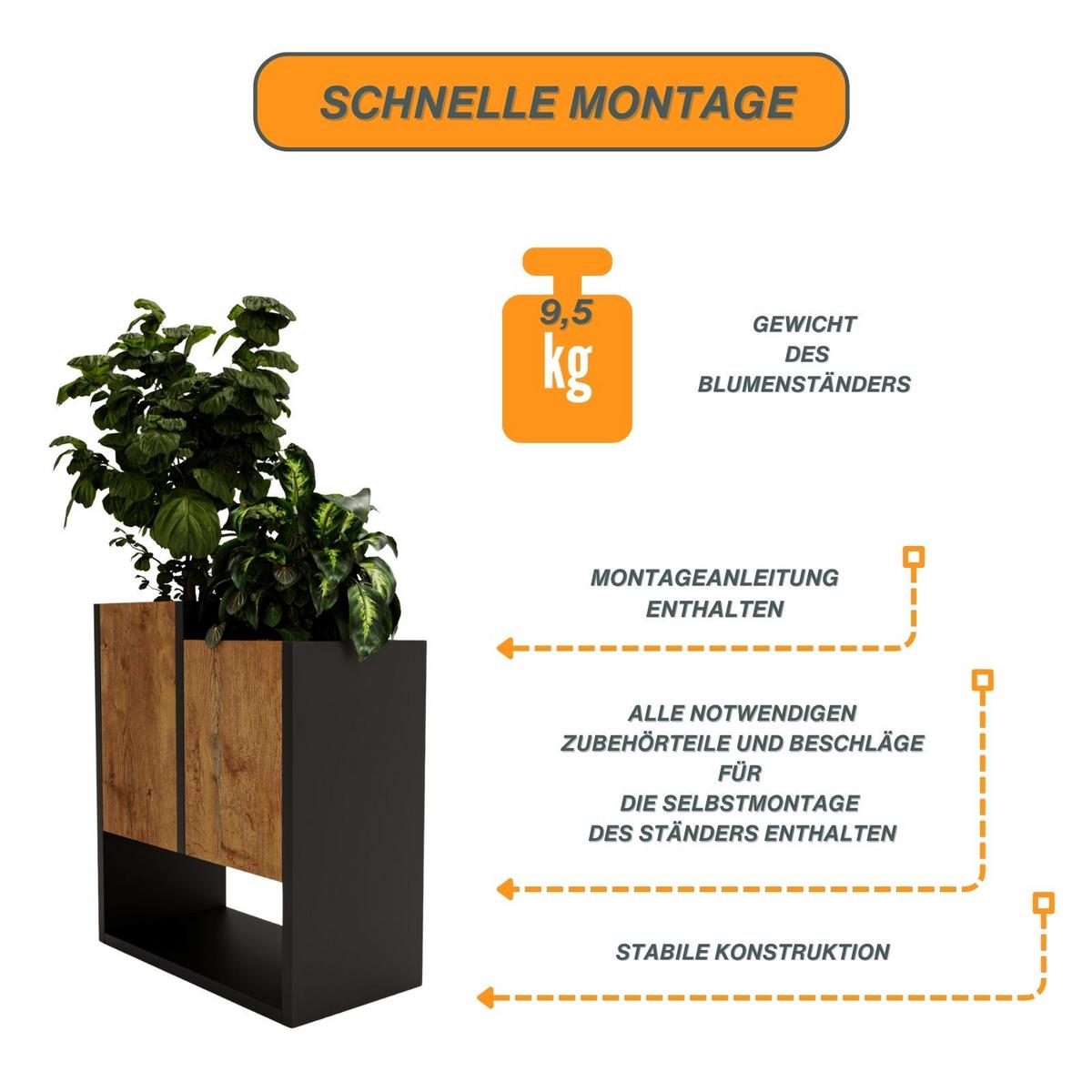 BLUMENKASTEN - Nussbaumfarben, Holzwerkstoff (22.6/50/44cm) - RAUMHIRSCH FURNITURE