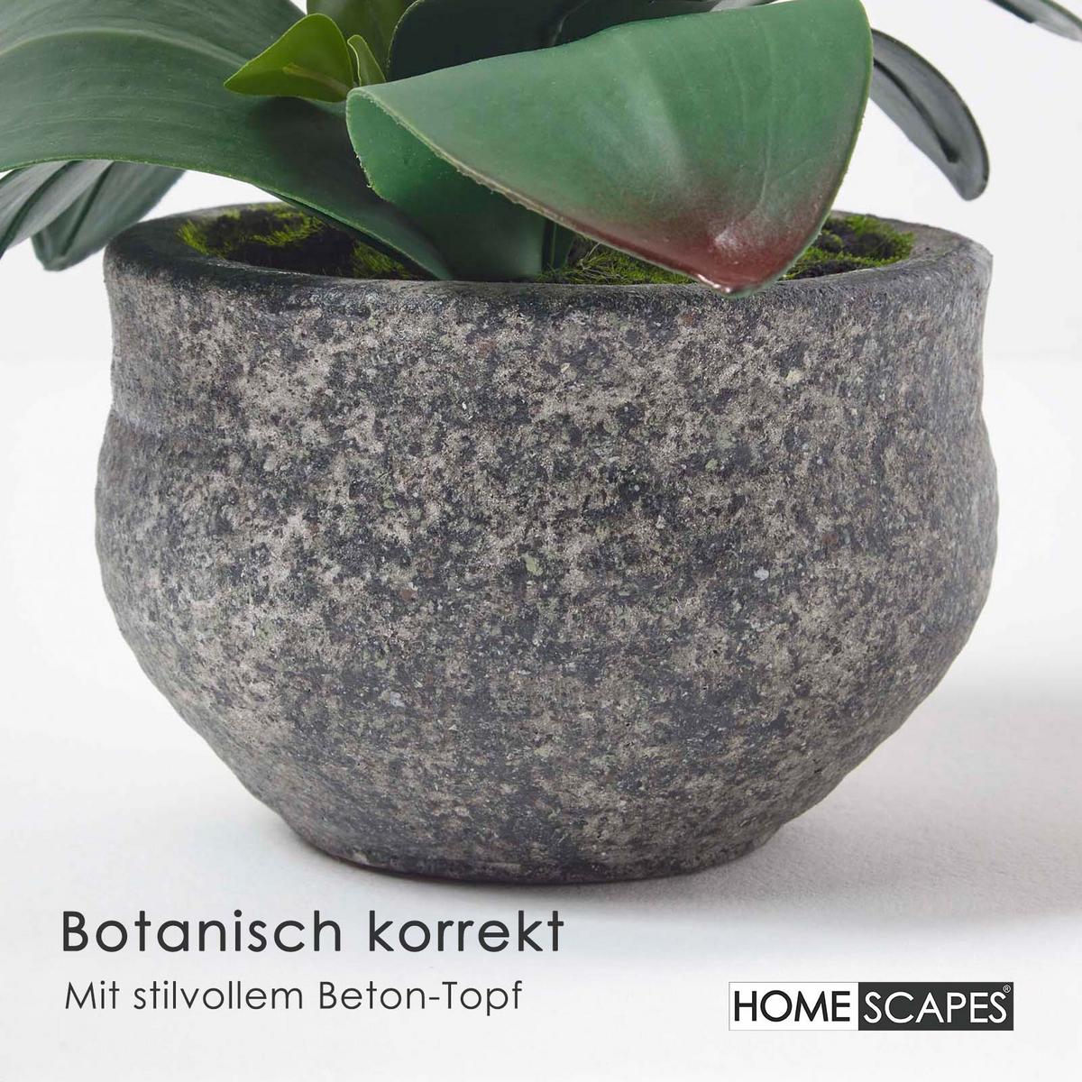 KUNSTBLUME Orchidee weiß-pink im Deko-Topf, 52 cm - Weiß, Kunststoff (52cm) - Homescapes