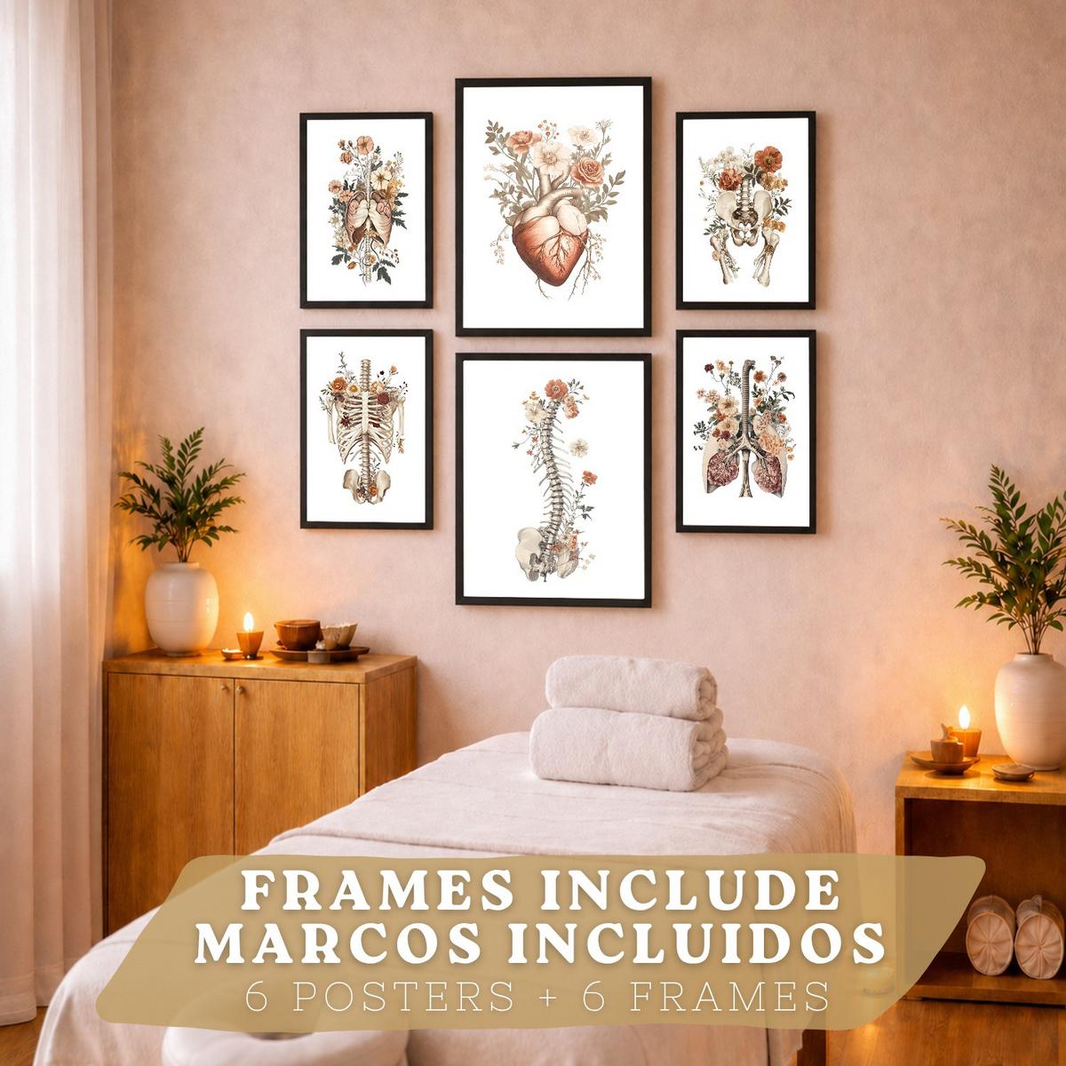 POSTER Set aus 6 Anatomie Mensch Florale Aquarell Drucke und mit Gehirn Lungen Skelett Nieren und Organen Botanische Größe Schwarzer Rahmen A3 & A4 - Schwarz, Papier (21/29.7/3cm) - Nacnic