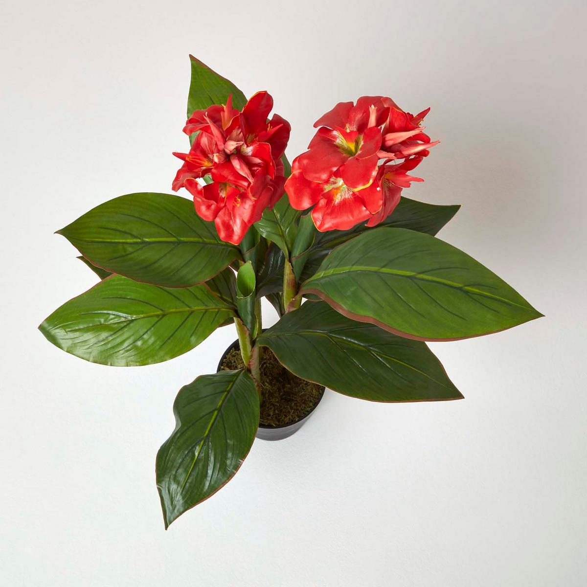 KUNSTBLUME Blumenrohr rot, 90 cm - Rot, Kunststoff (90cm) - Homescapes