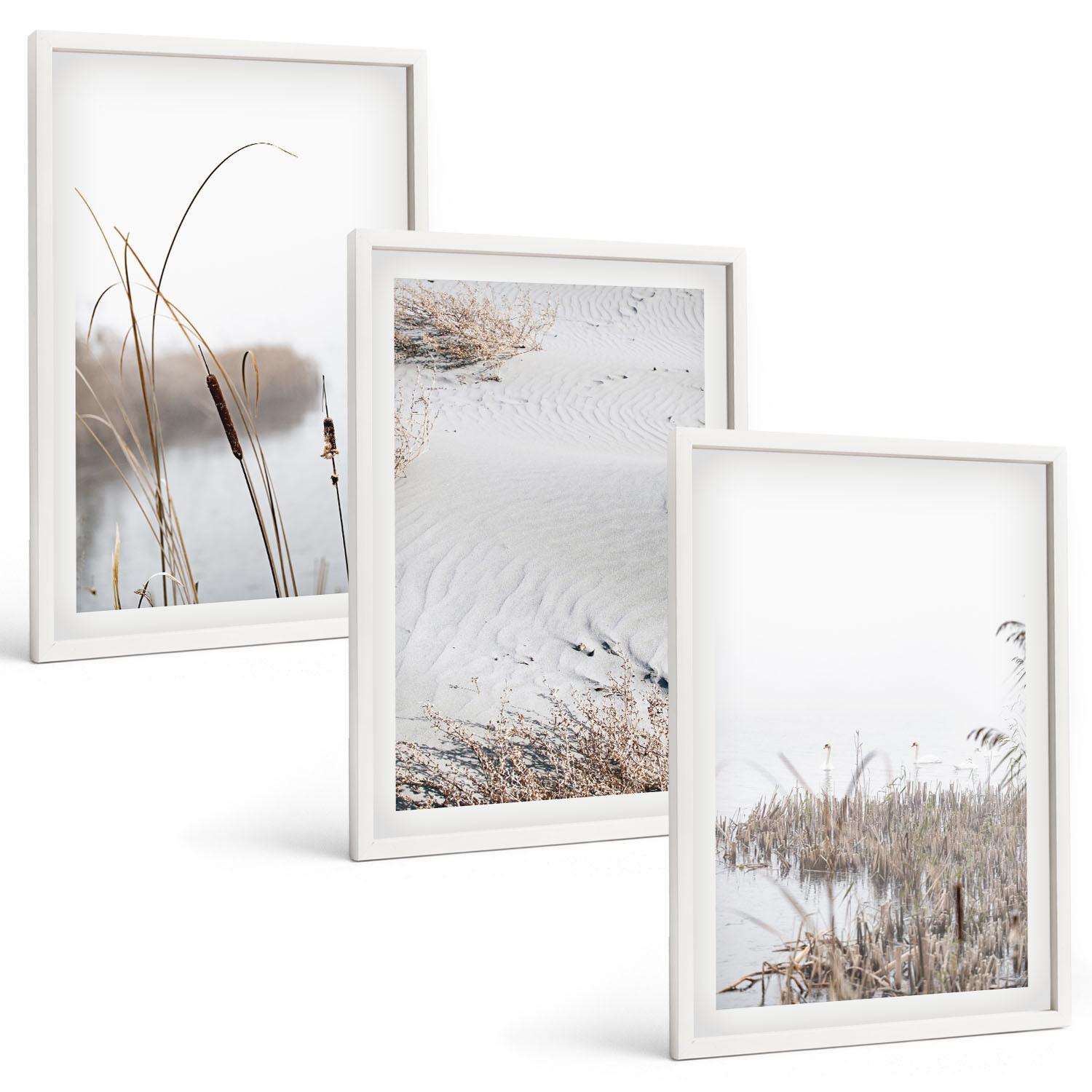 BILDER SET 3er Set - 40x60 cm Weißer Rahmen - Wasserpflanzen im Sommer - Weiß, Kunststoff (40/60cm) - TULUP