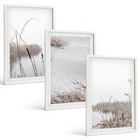 BILDER SET 3er Set - 40x60 cm Weißer Rahmen - Wasserpflanzen im Sommer - Weiß, Kunststoff (40/60cm) - TULUP